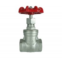 Dn15-50 Two Way Sealing 1inch 2inch Thread Screwed Straight Type Ss304 Ss316 Thread Gate Valve